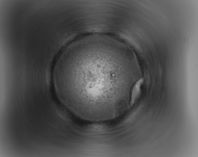 X0000093210255200710101332