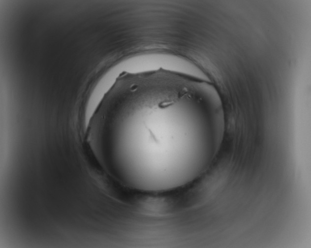 X0000093210256200710101332