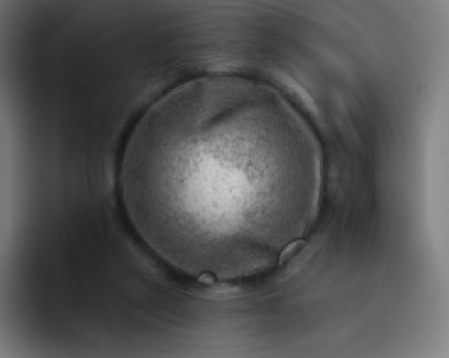 X0000093210257200710101332