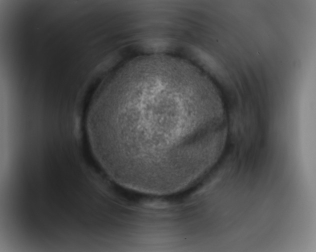 X0000093210258200710101332