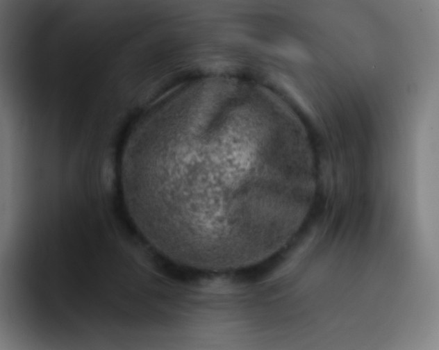 X0000093210259200710101332