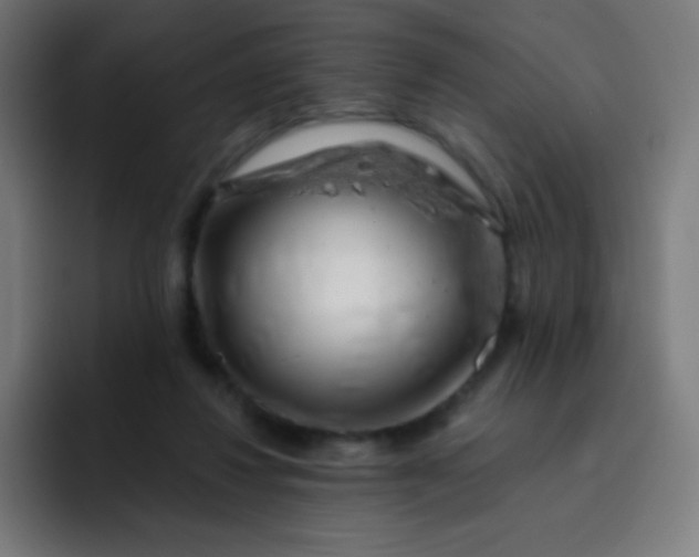 X0000093210260200710101332