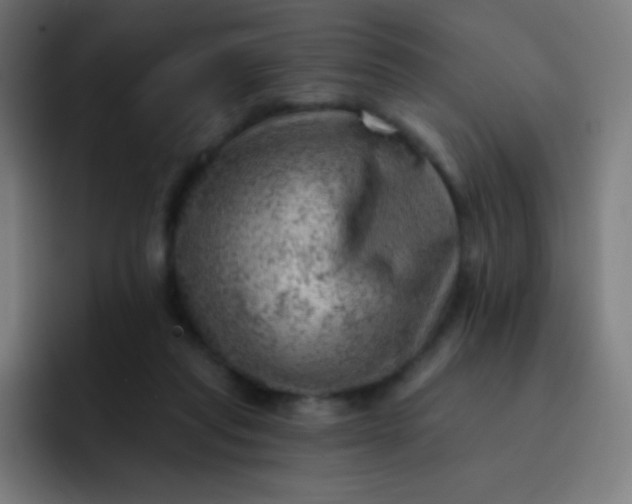 X0000093210261200710101332