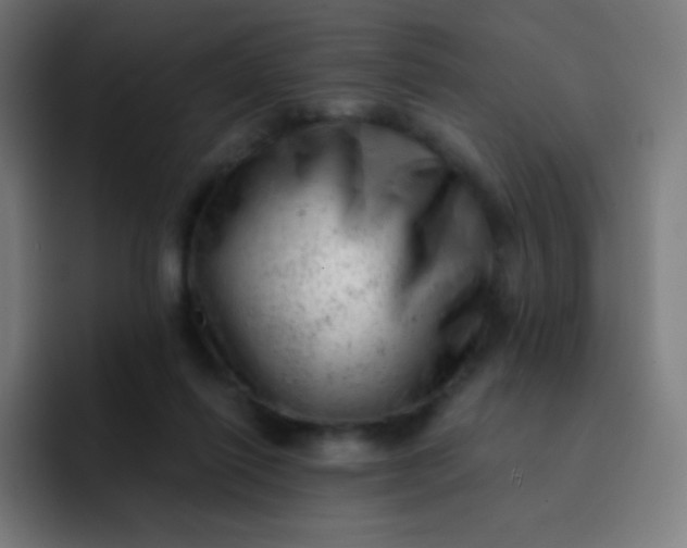 X0000093210262200710101332