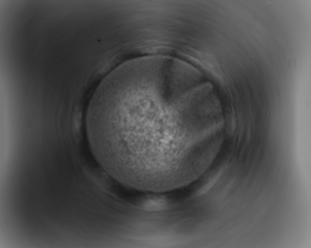 X0000093210263200710101332