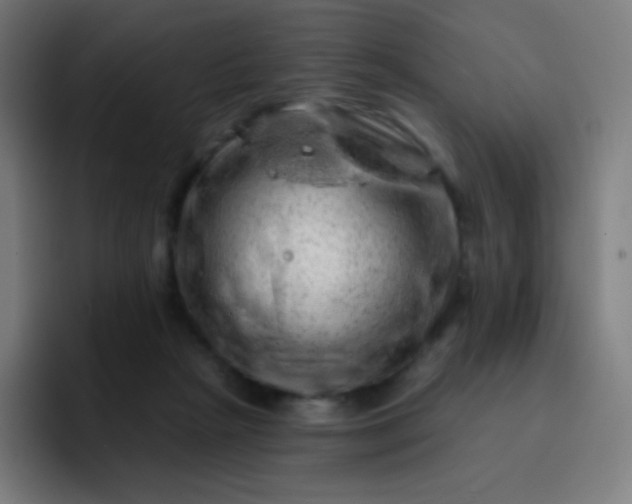 X0000093210265200710101332