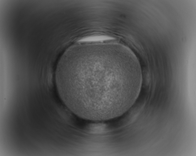 X0000093210266200710101332