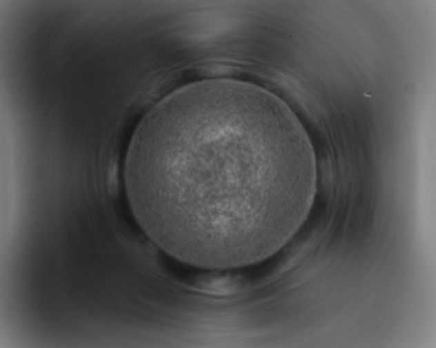 X0000093210267200710101332