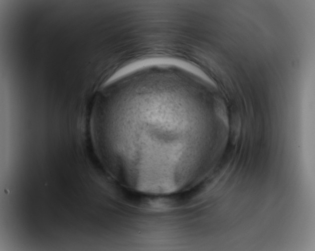 X0000093210268200710101332