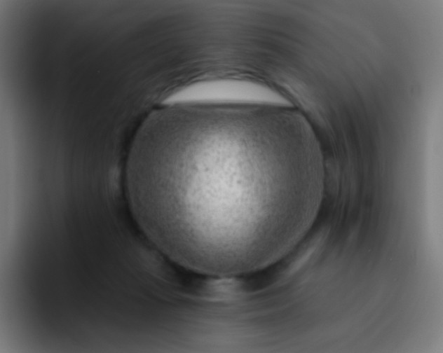 X0000093210269200710101332