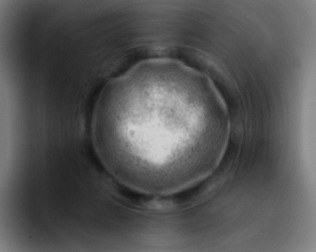 X0000093210270200710101332