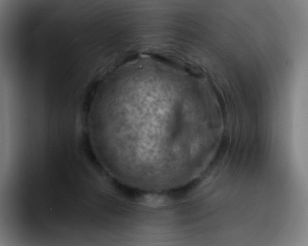 X0000093210272200710101332