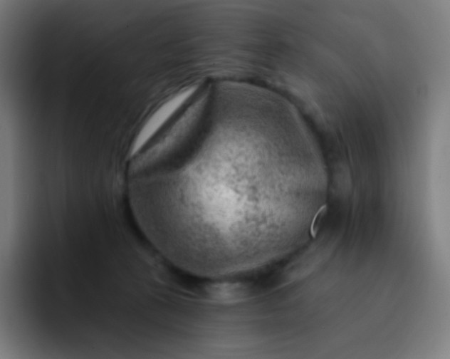 X0000093210273200710101332