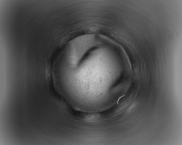 X0000093210274200710101332