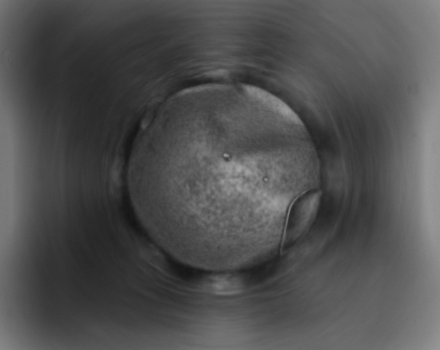 X0000093210275200710101332