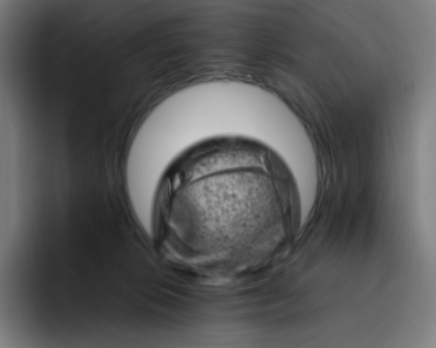 X0000093210276200710101332