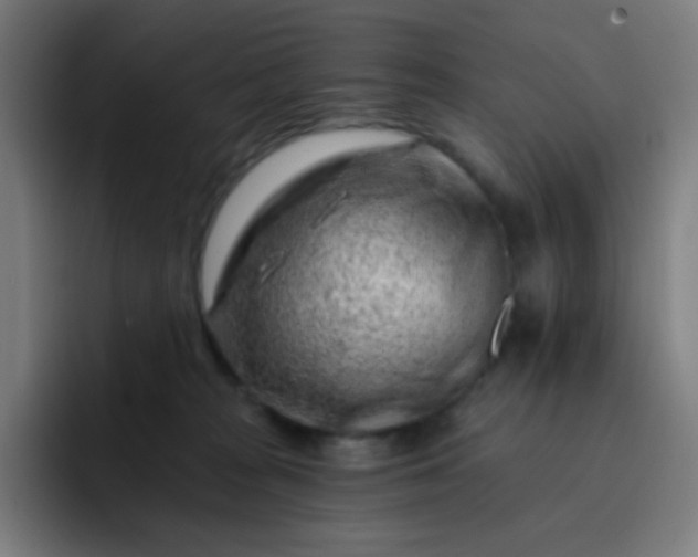 X0000093210277200710101332