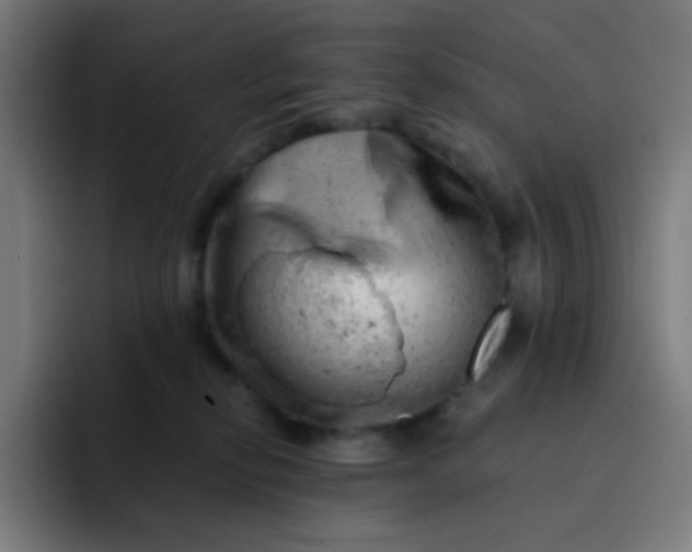 X0000093210278200710101332