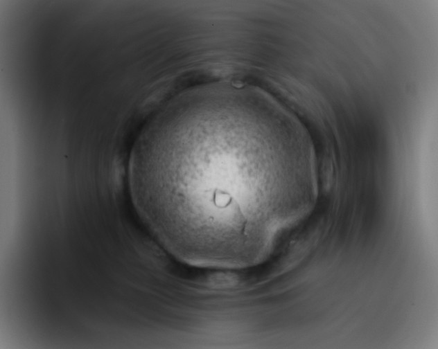 X0000093210279200710101332