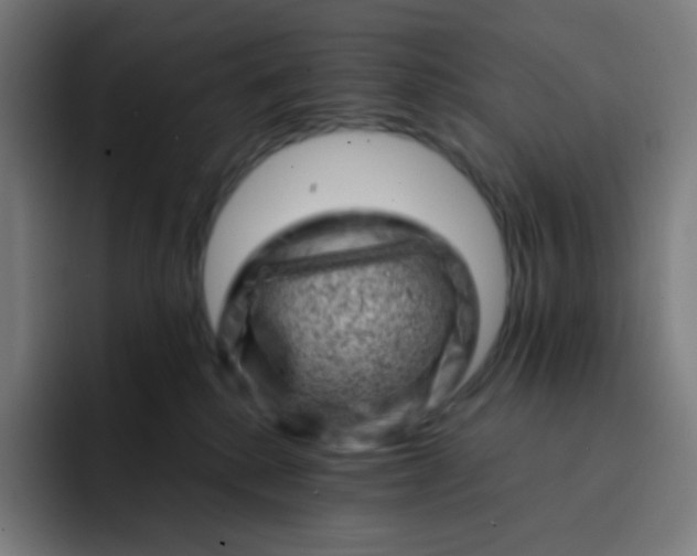 X0000093210280200710101332