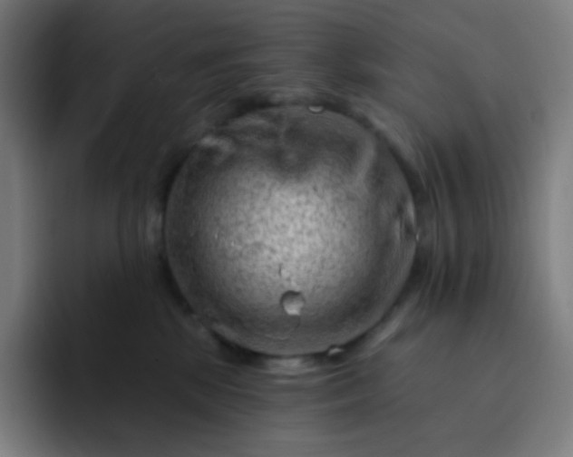 X0000093210281200710101332