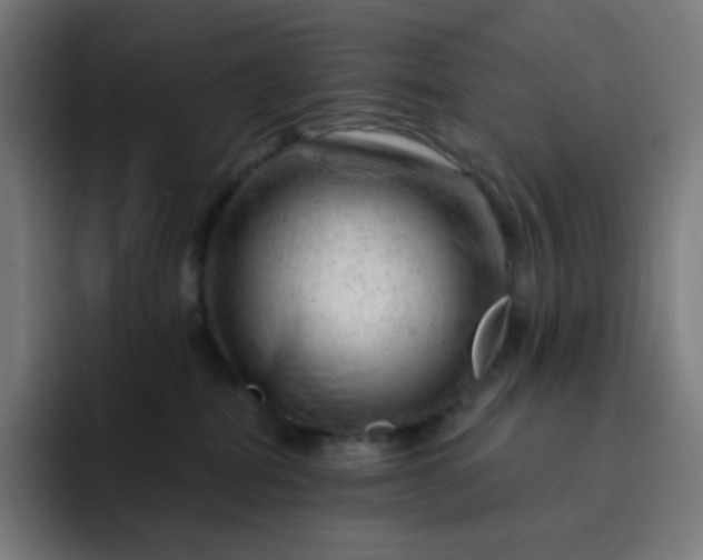 X0000093210282200710101332