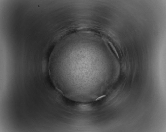 X0000093210283200710101332