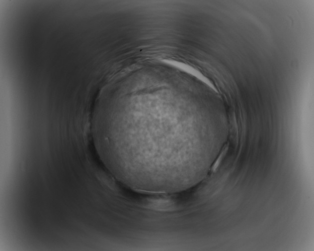 X0000093210284200710101332