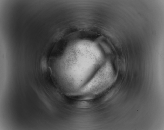 X0000093210287200710101332