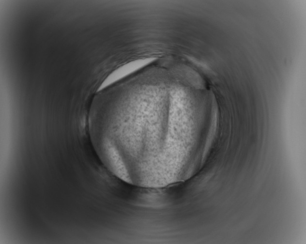 X0000093210288200710101332