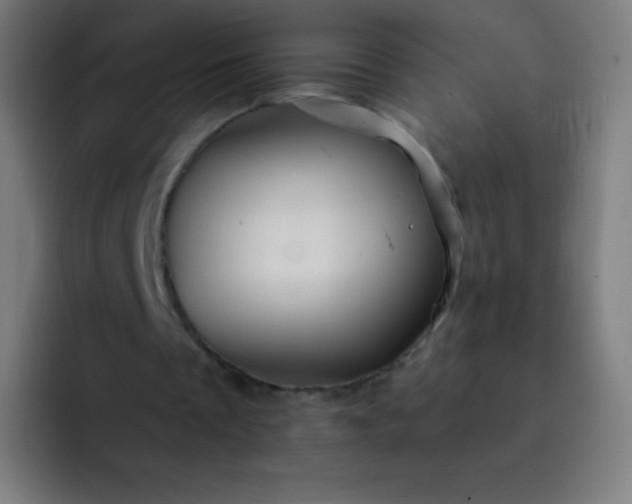 X0000093210289200710101332