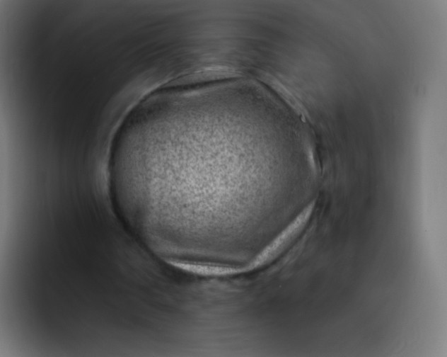 X0000093210290200710101331