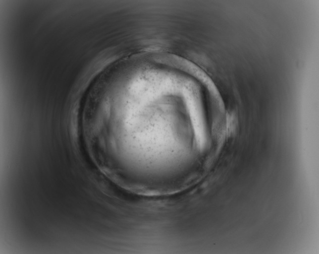 X0000093210291200710101331