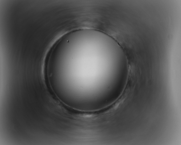 X0000093210292200710101331