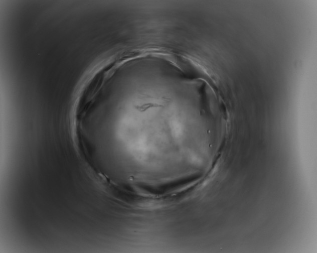 X0000093210293200710101331