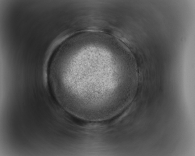 X0000093210294200710101331