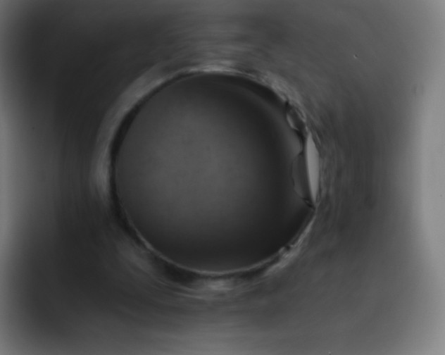 X0000093210295200710101331