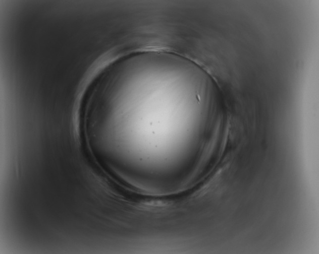 X0000093210296200710101331