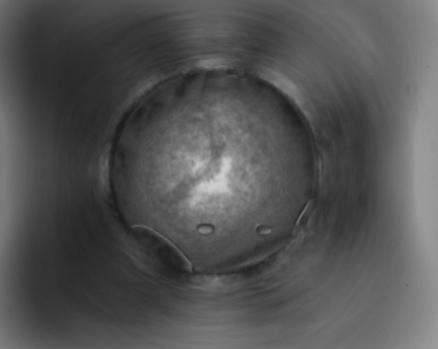 X0000093210297200710101331