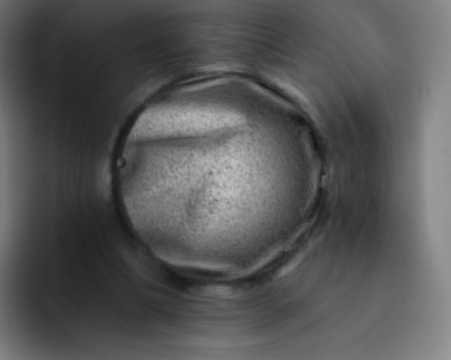 X0000093210298200710101331