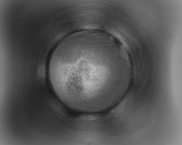 X0000093210299200710101331