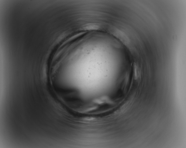 X0000093210300200710101331