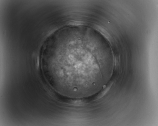 X0000093210301200710101331