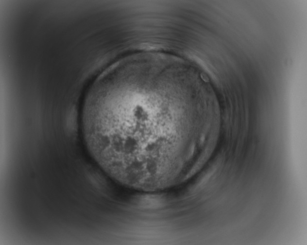 X0000093210303200710101331