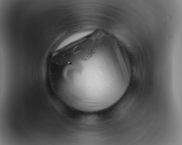 X0000093210304200710101331