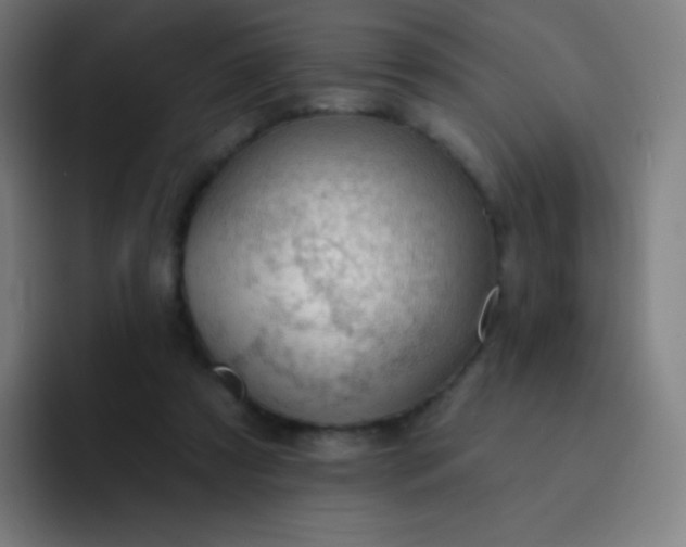 X0000093210305200710101331