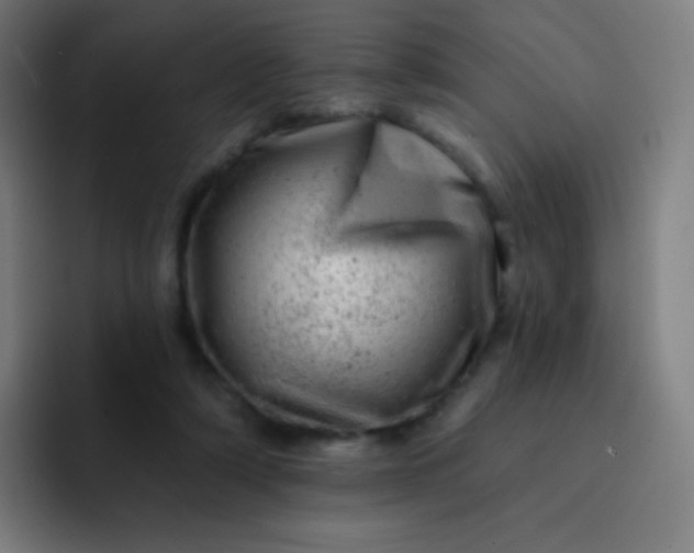 X0000093210306200710101331