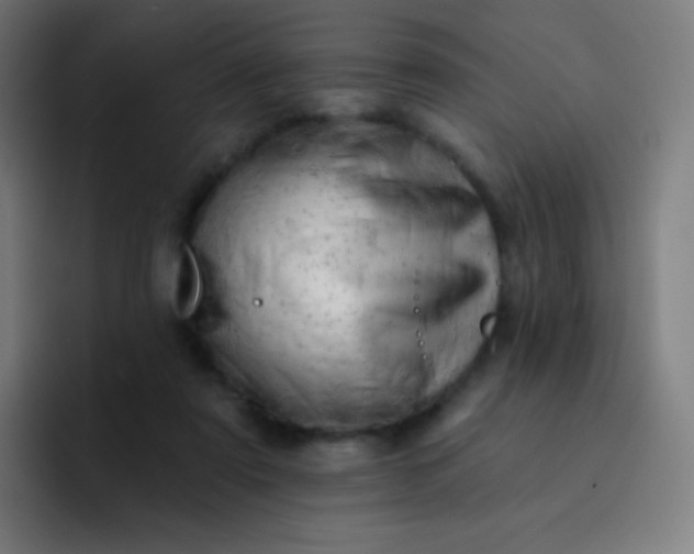 X0000093210307200710101331