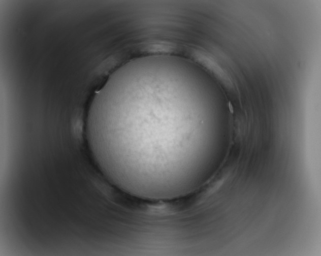 X0000093210309200710101331