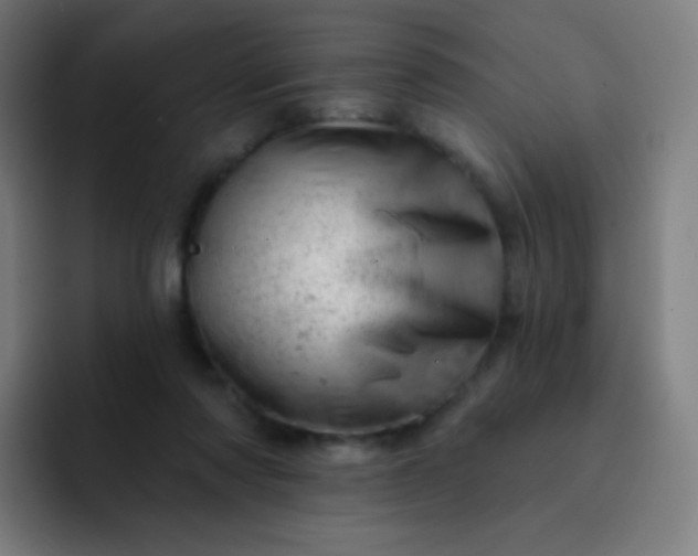 X0000093210310200710101331